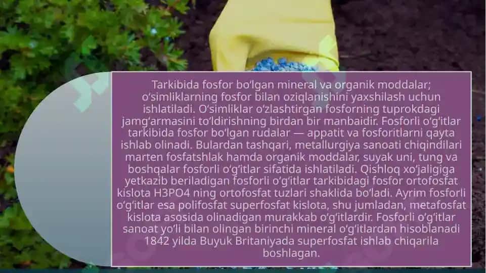 Mikroelementlar va ularning qishloq xo'jaligidagi roli 6
