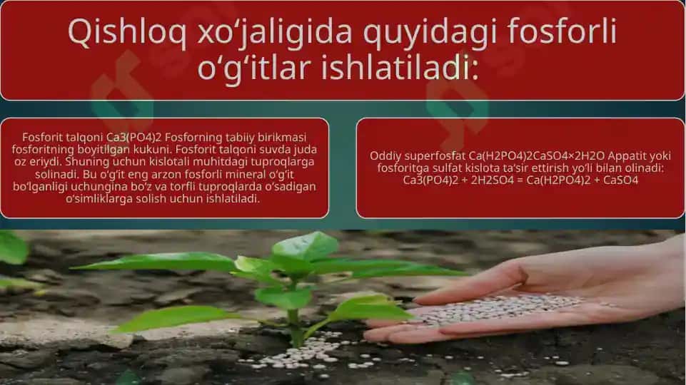 Mikroelementlar va ularning qishloq xo'jaligidagi roli 7