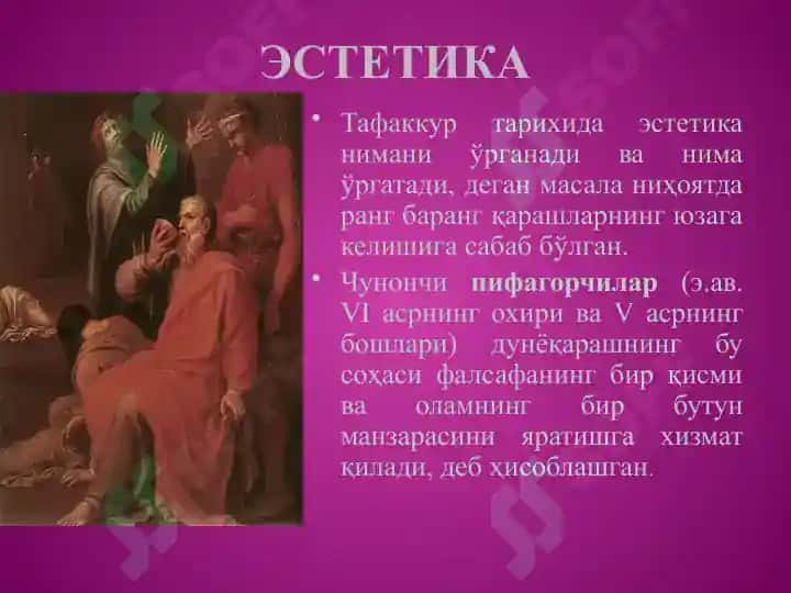 Estetika 5