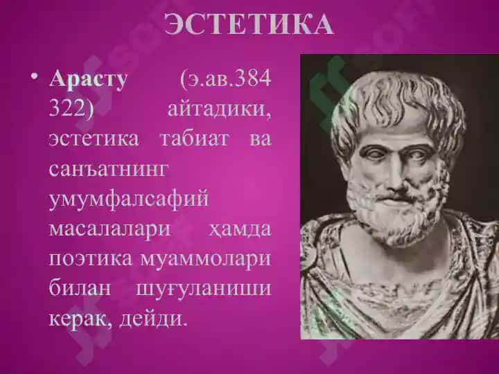 Estetika 6