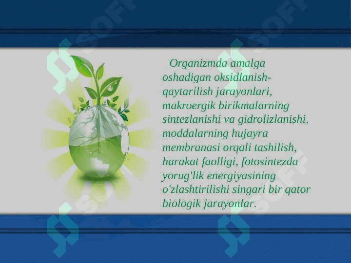 Bioenergetikaning tibbiy ahamiyati 3