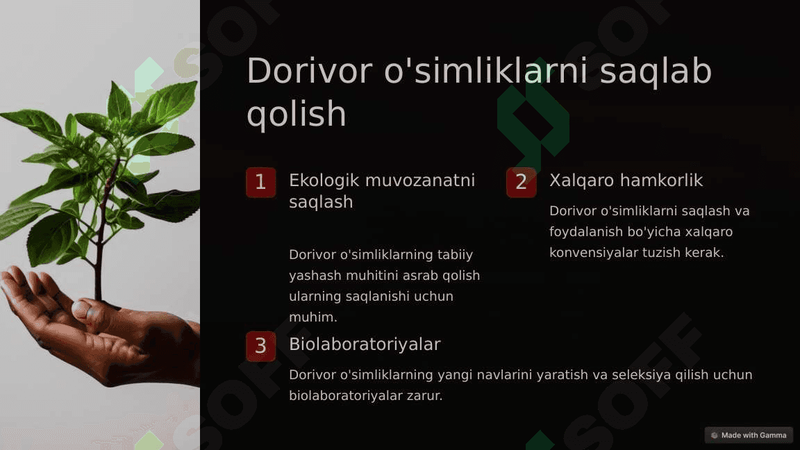 Dorivor o'simliklarning mintaqalar bo'yicha taqsimlanishi 3