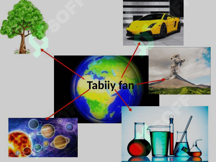 6-sinf tabiiy fan Harakat turlari Dars ishlanma 2