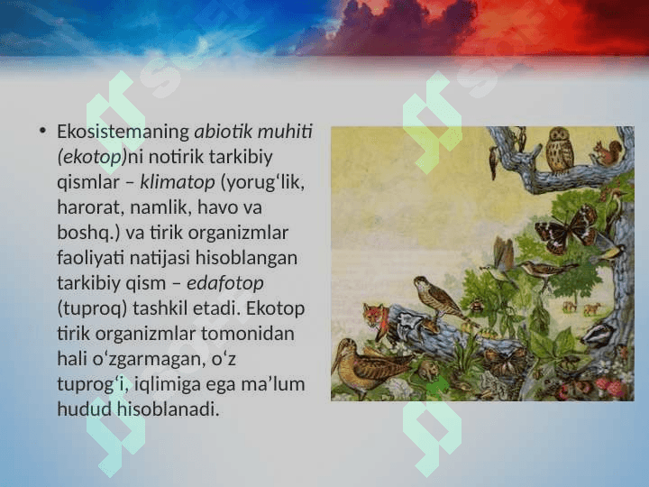 Ekosistemalarning tarkibiy qismlari 5