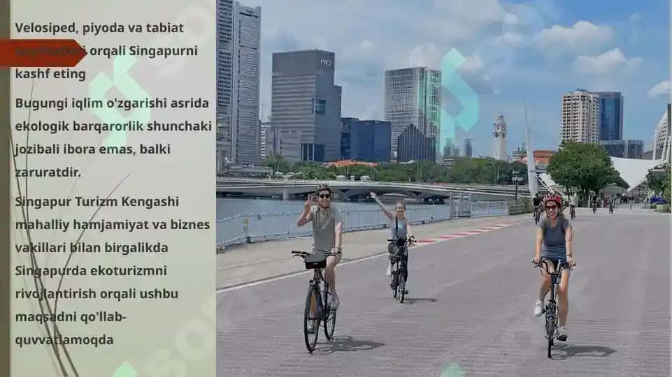 Singapur 3