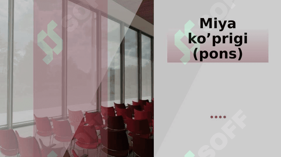 Miya ko’prigi va miyacha 2