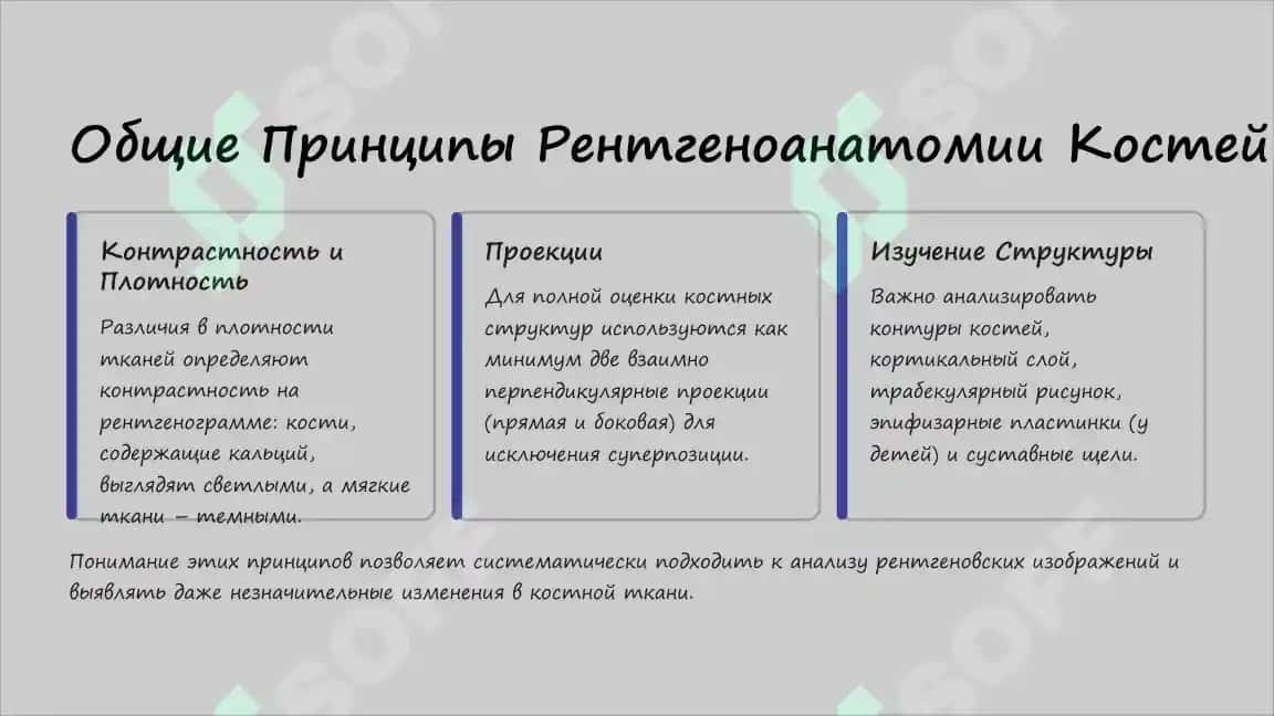 Рентгеноанатомия костей скелета: Норма и Аномалии Развития 3