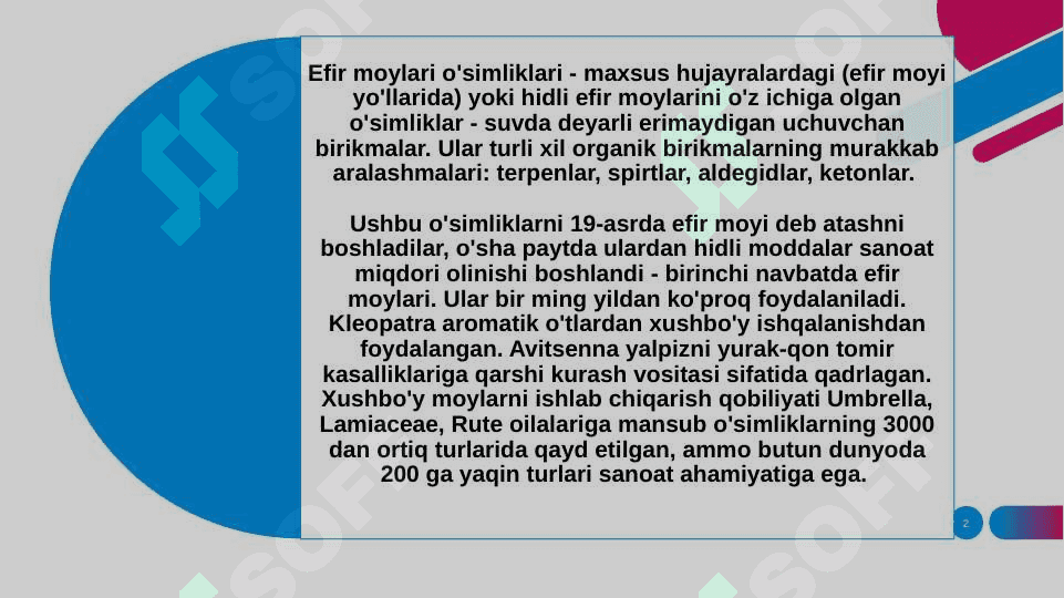 EFIR MOYLI O’SIMLIKLAR 2