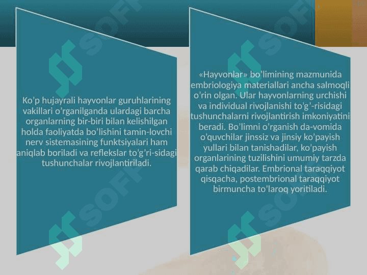 Ta’lim maqsadida yaratilgan zoologiya mavzularini metodologik qayta ishlanishi 4