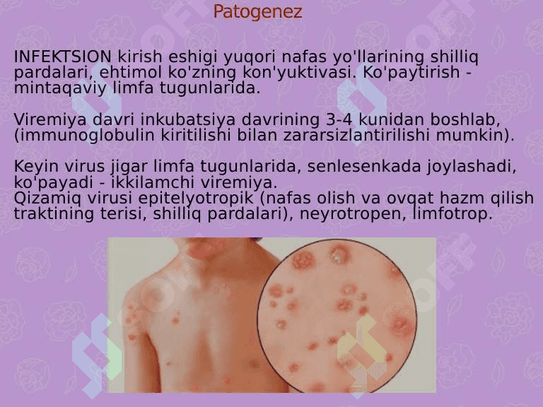 Virusli kasalliklar qozgatuvchilari 6