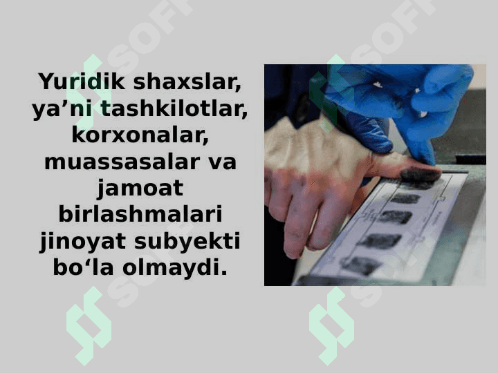 Jinoiy javobgarlik va jazo tizimi 4