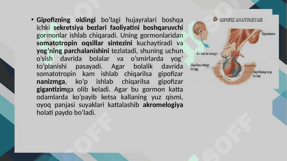 Gormonlar 5