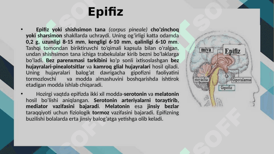 Gormonlar 7