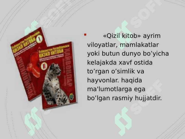O’zbekiston “Qizil kitob”iga kiritilgan hayvonlar 3