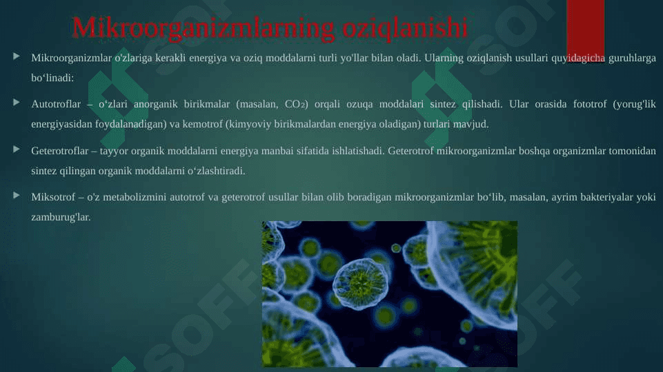 Mikroorganizmlar fiziologiyasi. Mikroorganizmlarning modda almashinuvi. Kimyoviy tarkibi va oziqlanishi 4