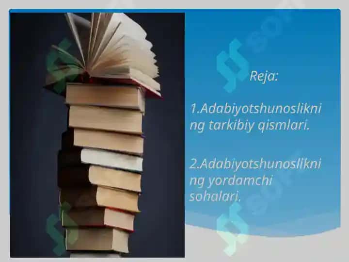 Adabiyotshunoslik 2