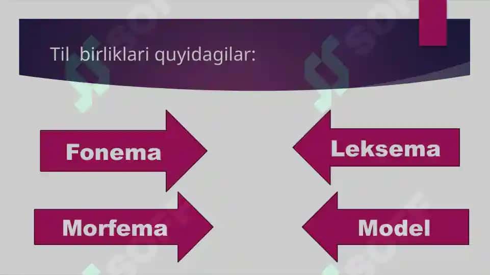 Nazariy tilshunoslik.Til birliklari orasidagi munosabat 4