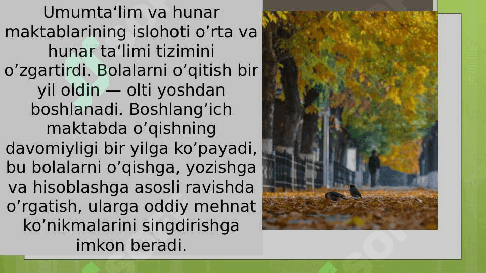 Jonli tabiat burchagi 3