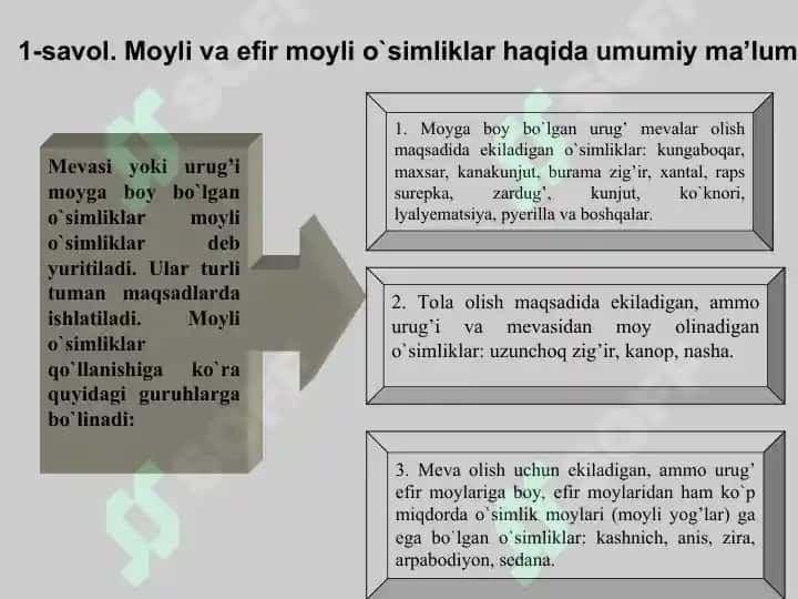 Moyli va efir moyli o`simliklar 2