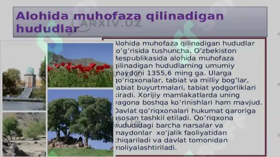 O'zbekiston qo'riqxonalari va ularning noyob hayvonlarni asrab qolisah hamda ko'paytirish 3