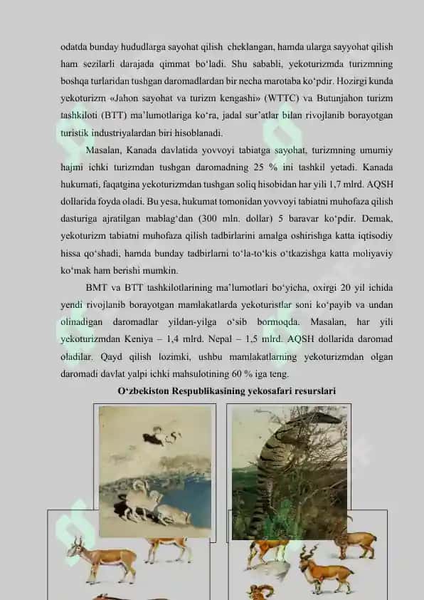 Ekologik turizm resurslari va ulardan foydalanish 6