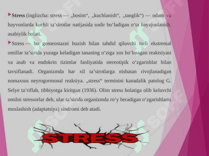 Stres bosqichlari va uning turlari 3