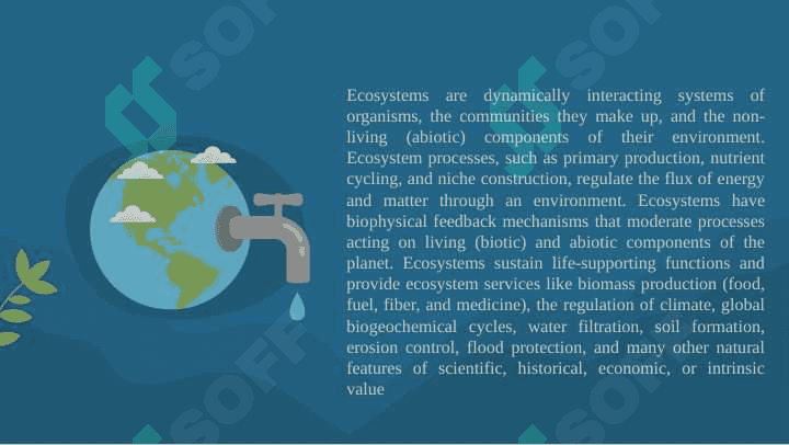 Ecological problem 4