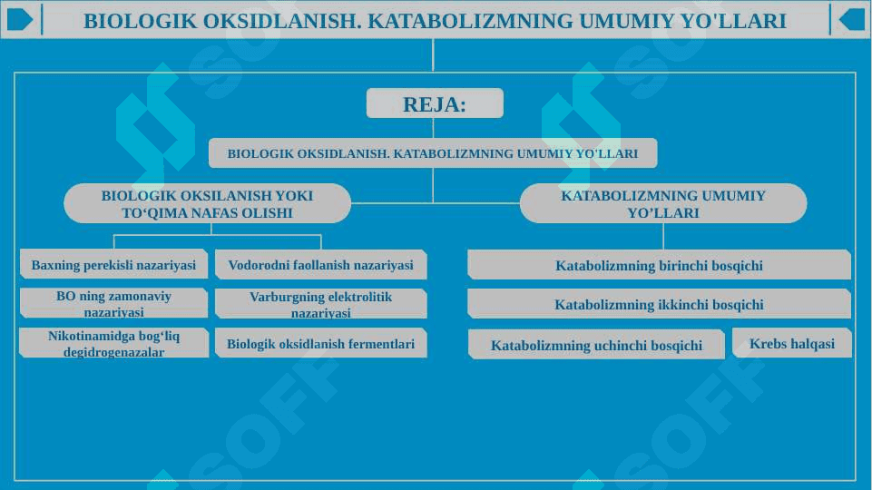 BIOLOGIK OKSIDLANISH. KATABOLIZMNING UMUMIY YO'LLARI 2