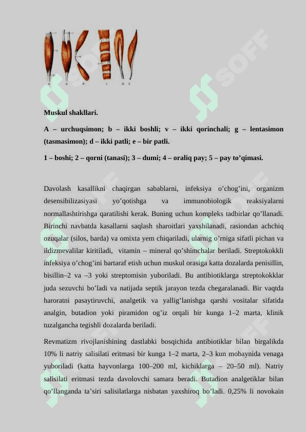 MIOZITLARNI DAVOLASH 2