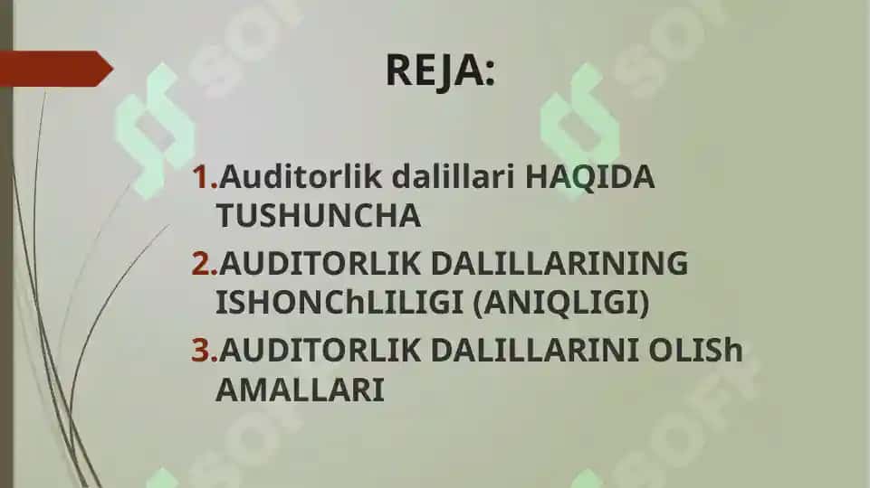 AUDITORLIK DALILLARI 2