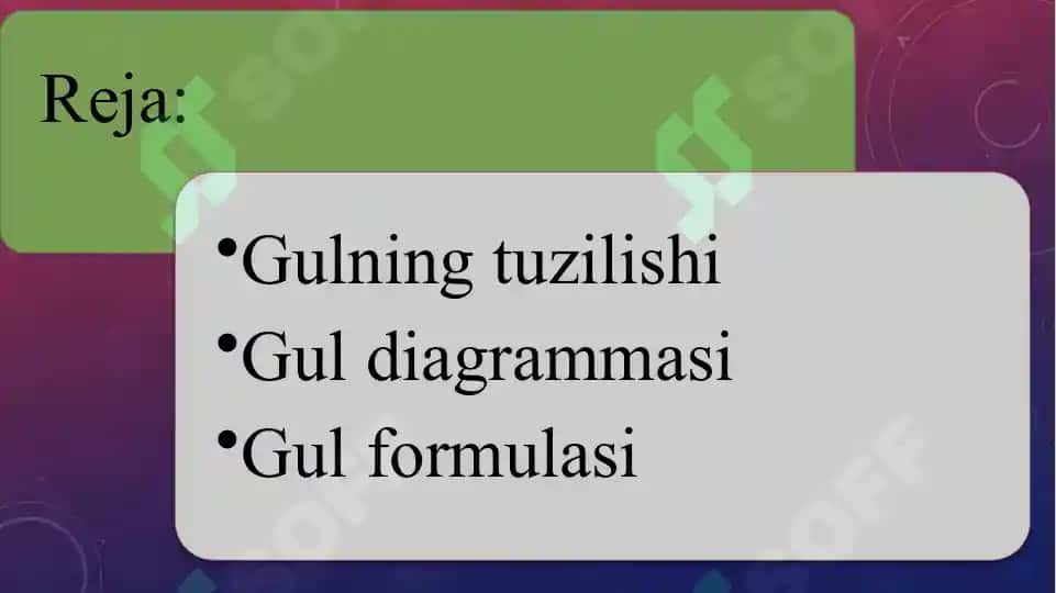 Gulning tuzilishi. Gul diagrammasi va formulalarini tuzish 2