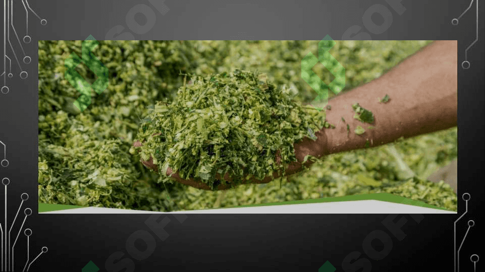 Makka jo'xori o'rish kombaynining maydalash barabanini loyihalash 6