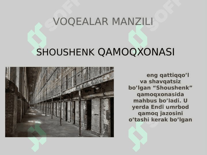 Rita Xeyuort yoxud Shoushenkdan qochish PPT 4