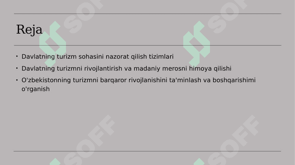 Turizm faoliyatini davlat tomonidan nazorat qilish 2