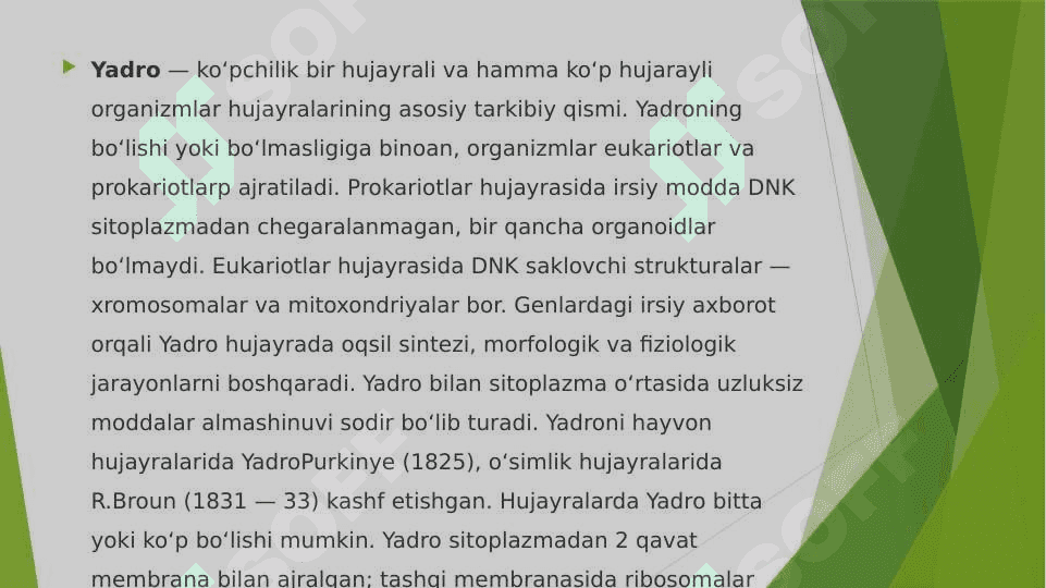 Hujayra yadrosi 2
