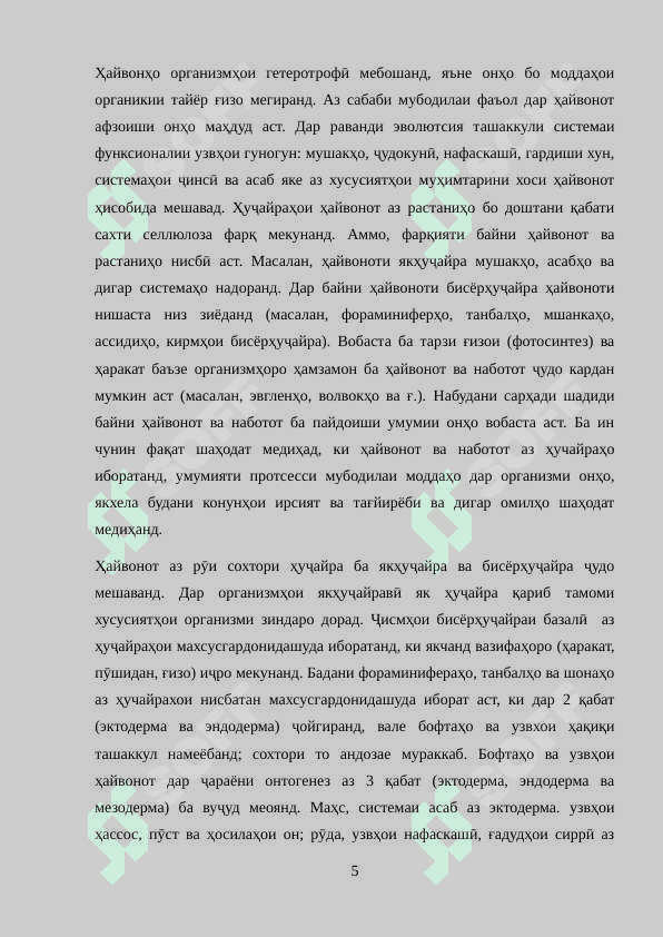 ОЛАМИ ҲАЙВОНОТ 5