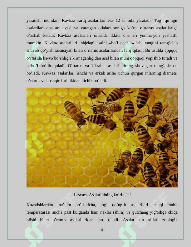 Asalariga umumiy tavsif 6