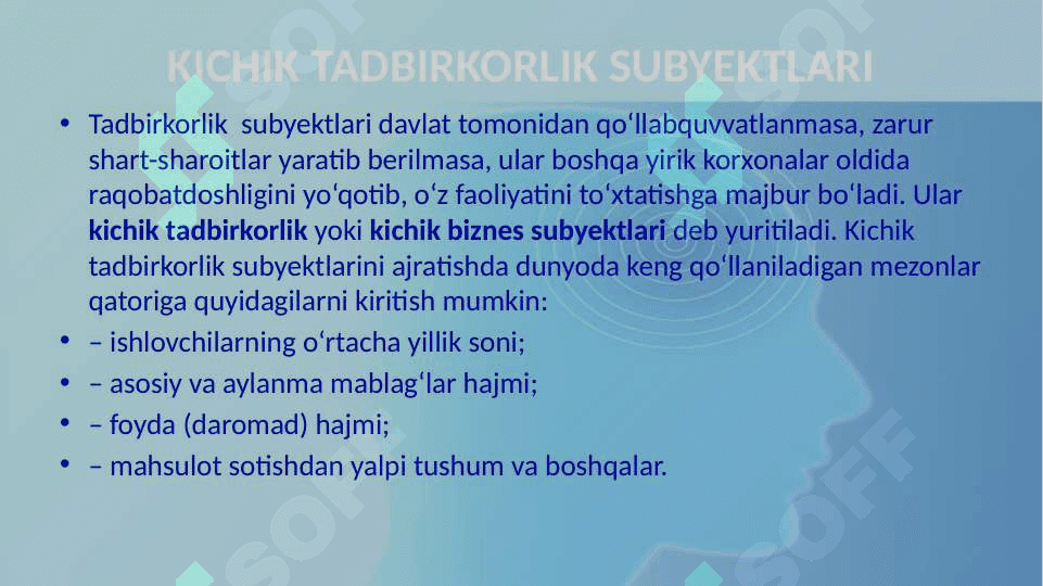 Mikrofirma va kichik korxona 2