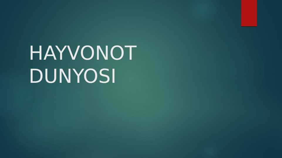 Hayvonot dunyosi 1