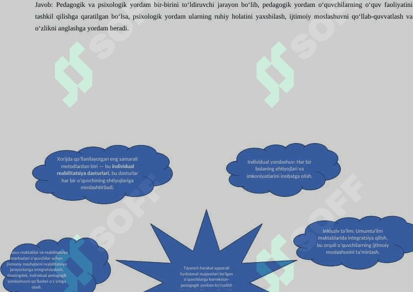 Tayanch-harakat apparati funksional nuqsonlari bo‘lgan  o‘quvchilarga korreksion-pedagogik yordam ko‘rsatish tizimi: mahalliy va xorijiy tajriba 2