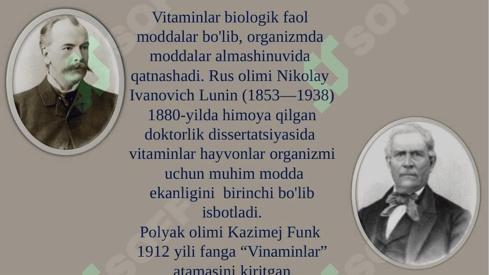 8-sinf biologiya .Vitaminlar va ularning ahamiyati dars ishlanma 4