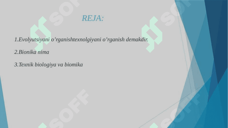 Bionika asoslari va uni inson hayotidagi o'rni 2