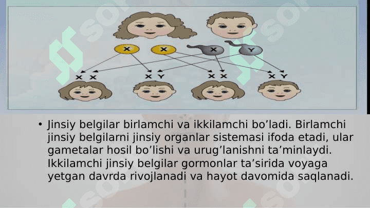 10-sinf biologiya Jins genetikasi 4