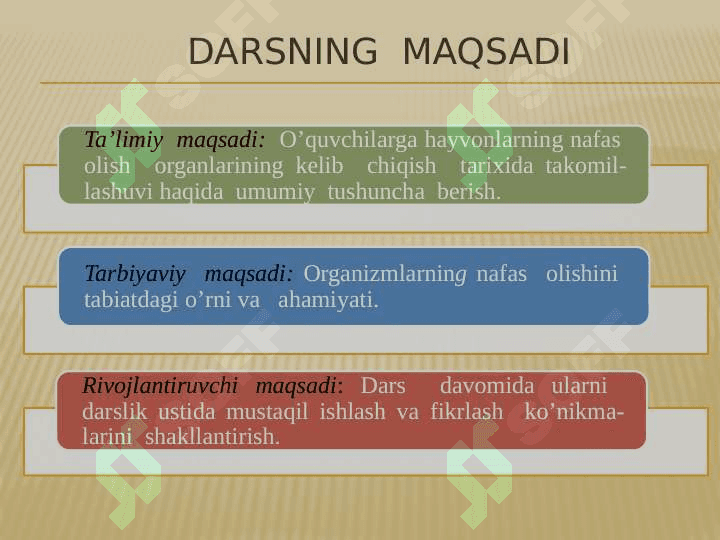11_sinf_biologiya Hayvonlarning nafas olish organlari evolutsiyasi 3