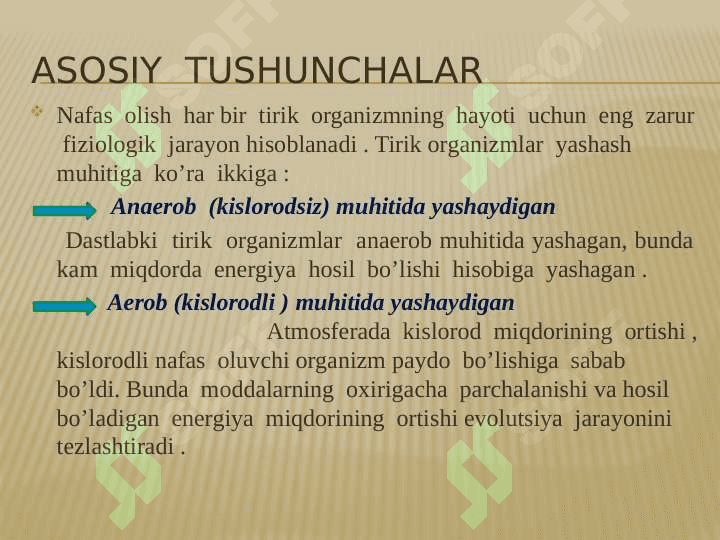 11_sinf_biologiya Hayvonlarning nafas olish organlari evolutsiyasi 7