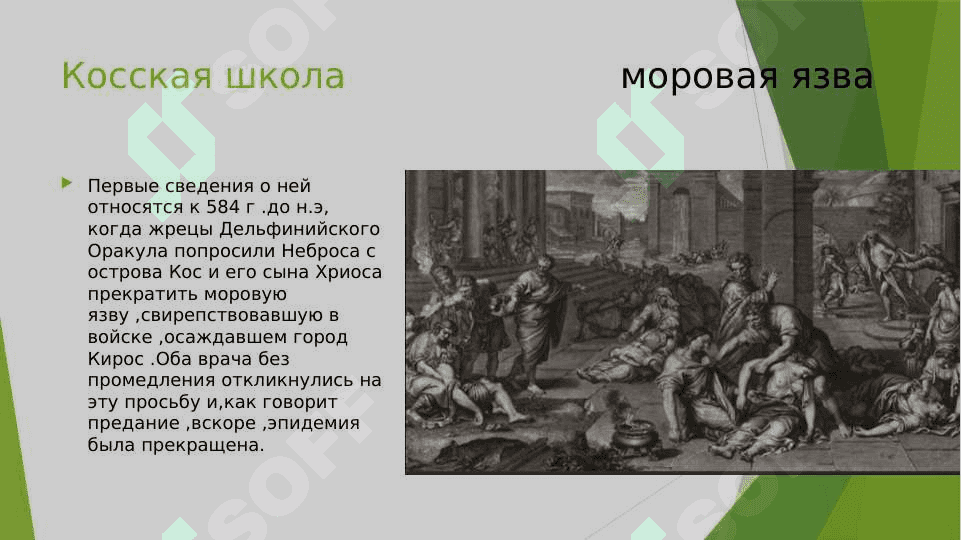 Медицинские школы Древней Греции 4