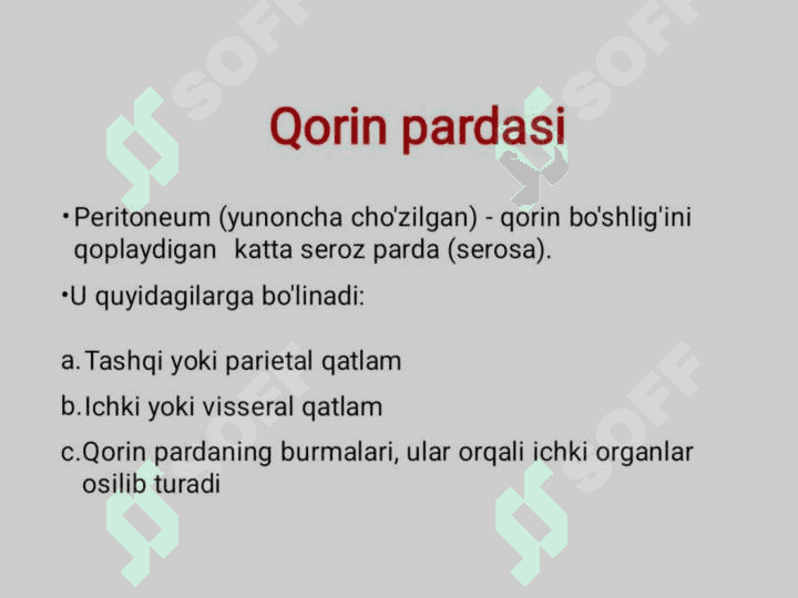 QORIN PARDA. QOPCHALAR, SINUSLAR, KANALLAR. 2