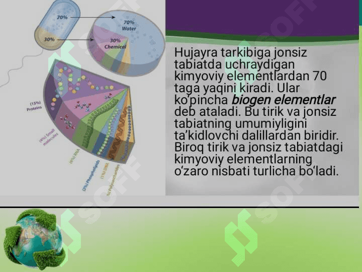 HUJAYRALARNING MITOTIK VA HAYOTIY SIKLI. 2