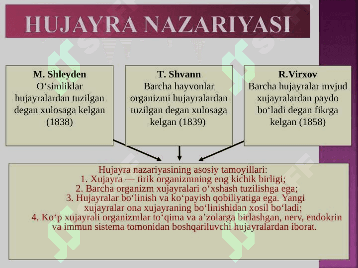SITOLOGIYA. 4