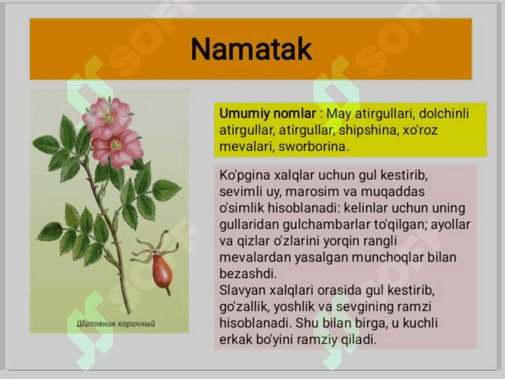 DORIVOR O'SIMLIKLAR. 3
